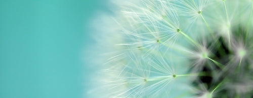 mobile_banner